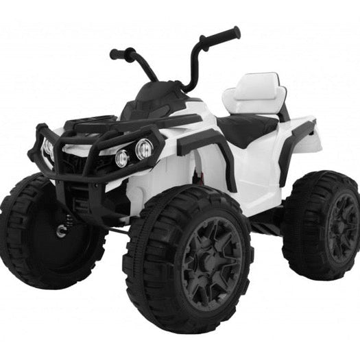 Entdecken Sie die Welt des Kinderquad-Abenteuers